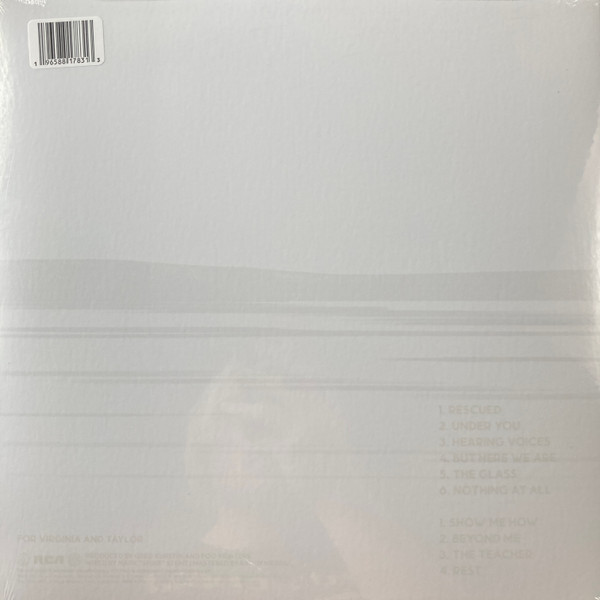 Foo Fighters — But Here We Are image 2