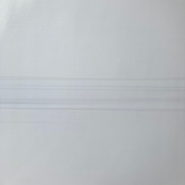 Foo Fighters — But Here We Are image 7
